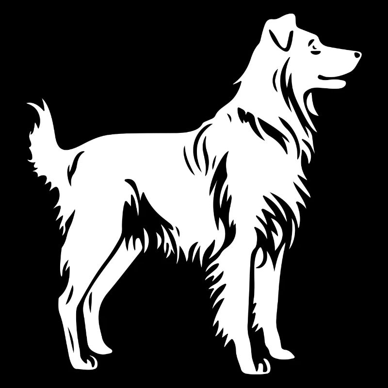 Australian Shepherd Hund Silhouette