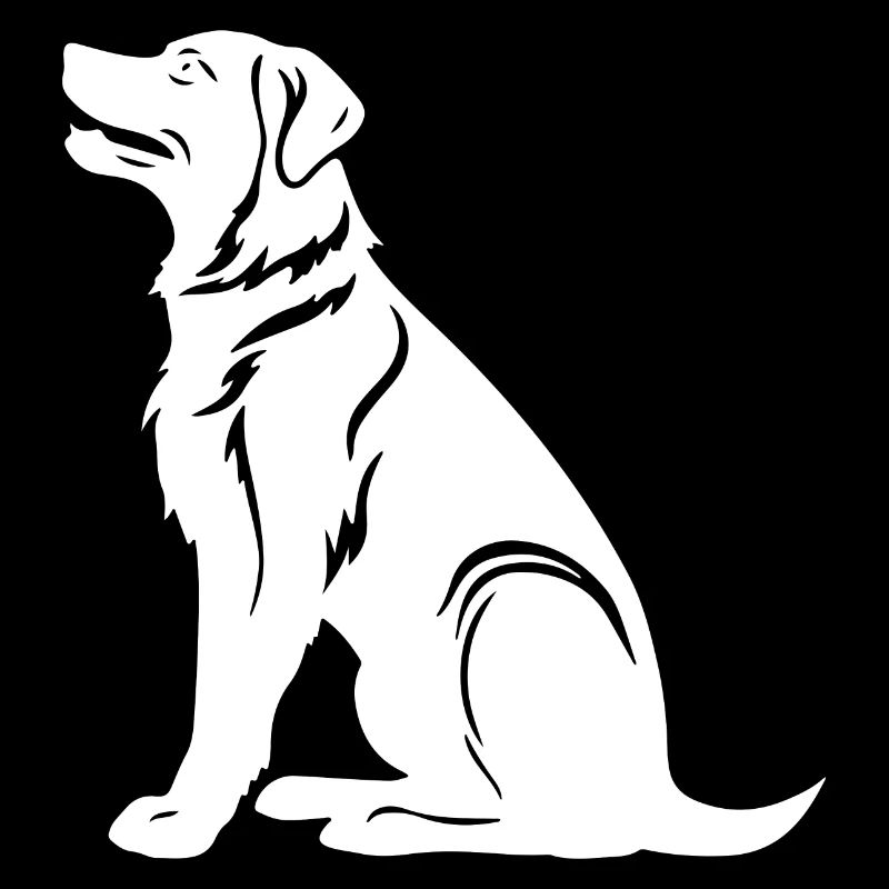 Samojede Hund Silhouette