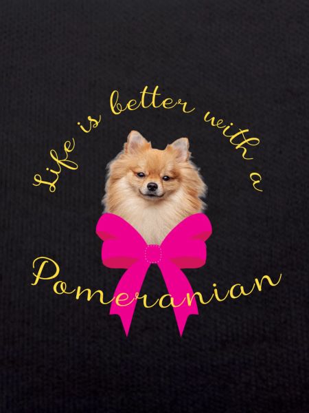 Pomeranian