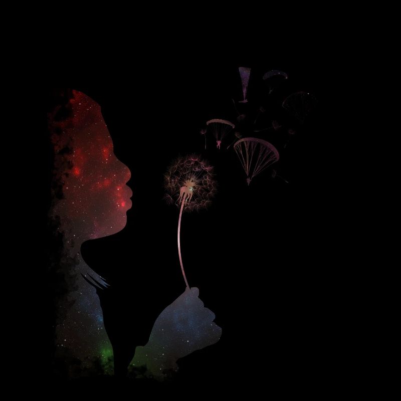 Paragliding paraglider dandelion gift pilot