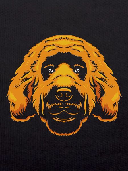 Goldendoodle