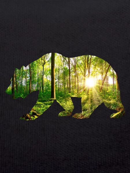 Bear environment