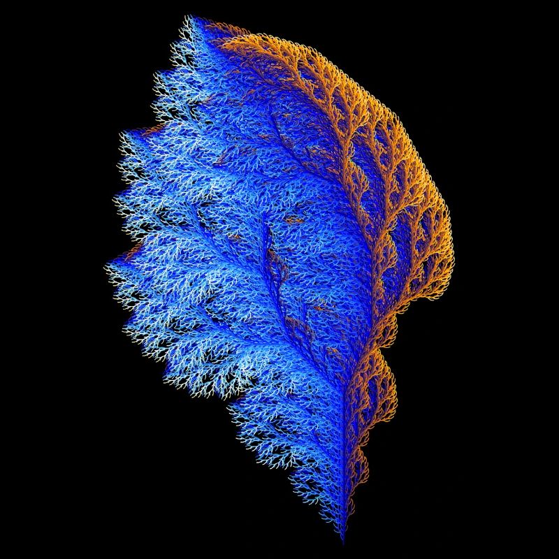 Fractal Tree #192 Mathematics Coral Julia Set