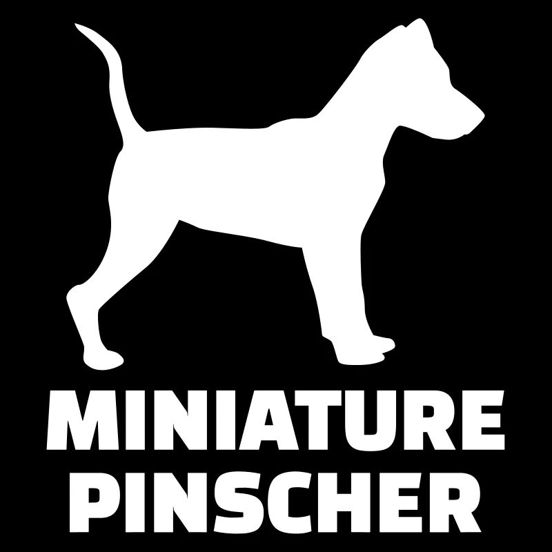 Pinscher nain