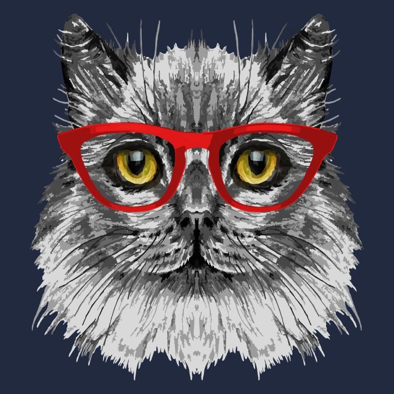 Katze