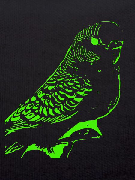 Budgerigar