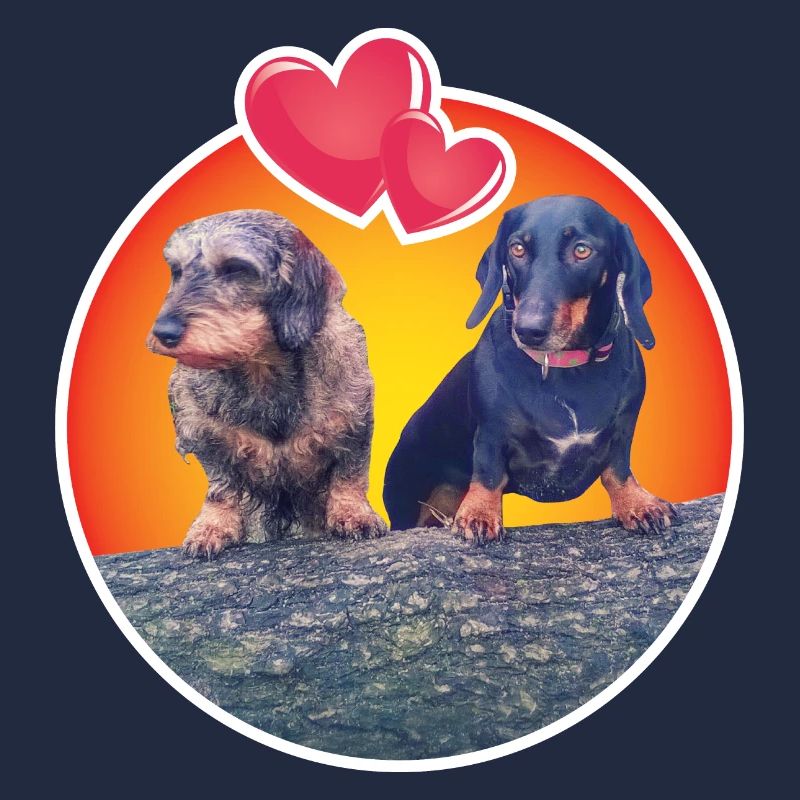 Teckels adorables
