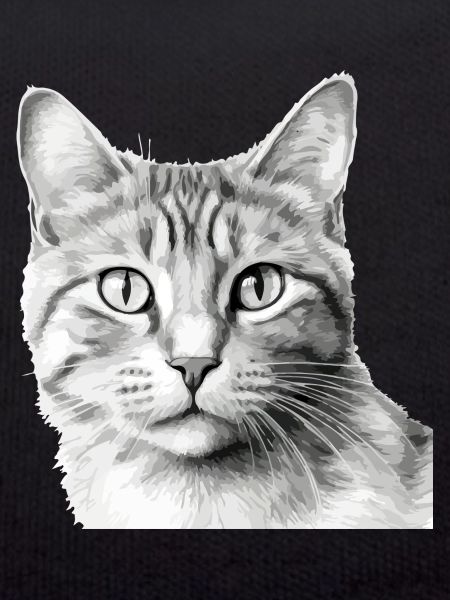 Bli le chat