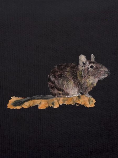 Degu
