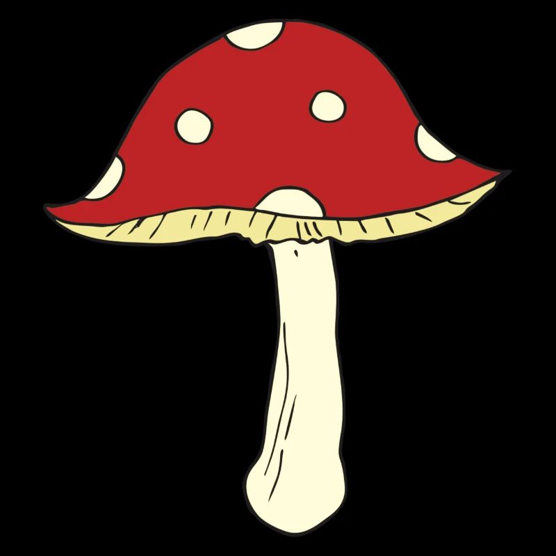 amanite tue-mouches
