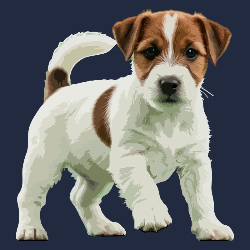 Jack Russell Terrier real