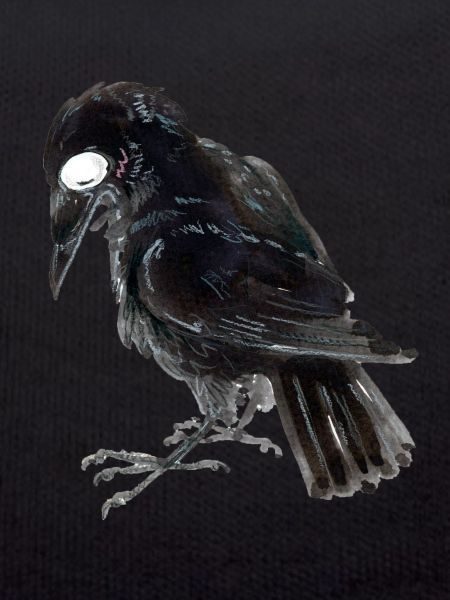 Raven Crow 3