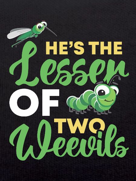 Insects