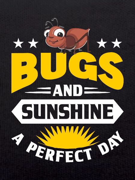 Insectes