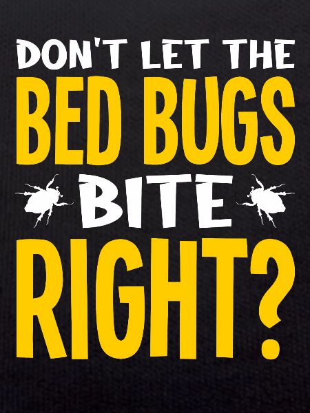 Insectes