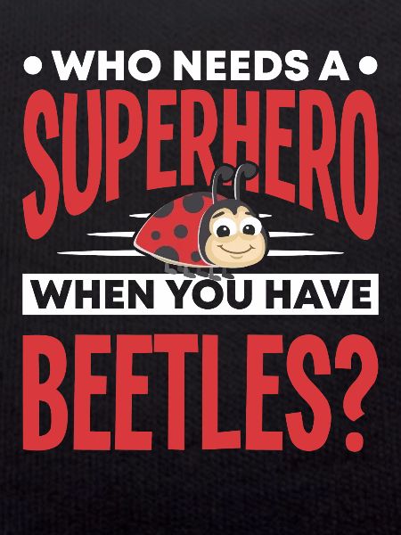 Insects