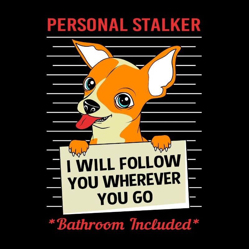 Chihuahua Stalker