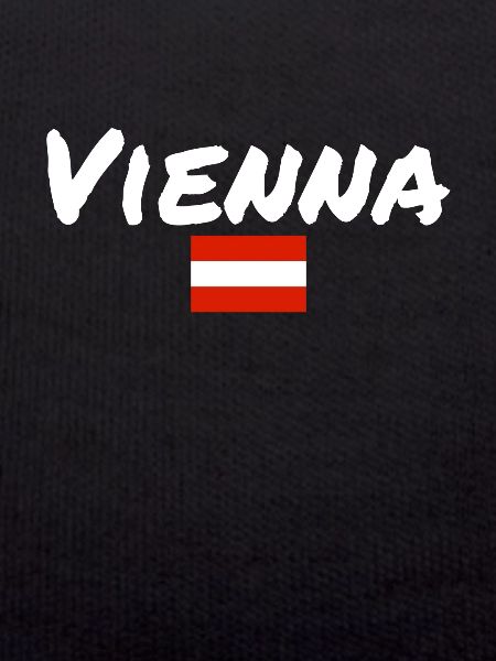 Vienna Austria Austrian Flag