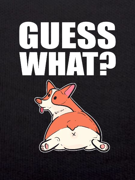 Corgi