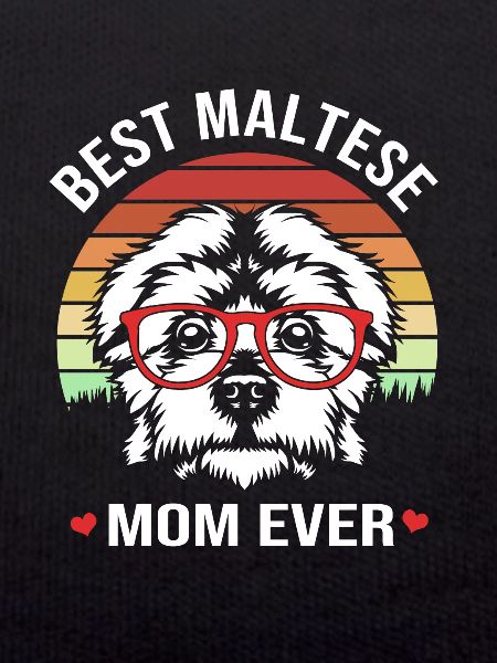 Maltese
