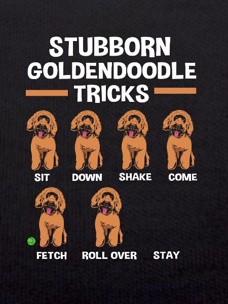 Goldendoodle