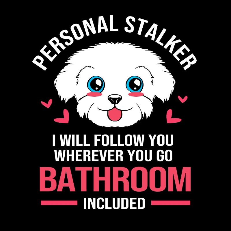 Maltese Dog