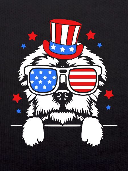 Maltese Dog