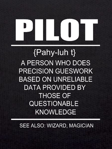 Pilot Flugzeug