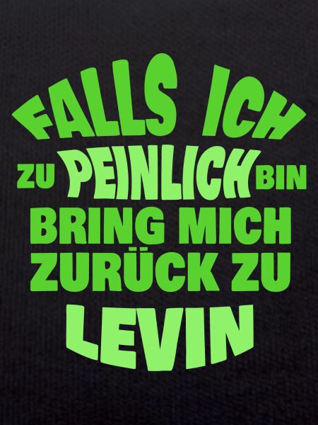 Levin als Jungesellenabschied