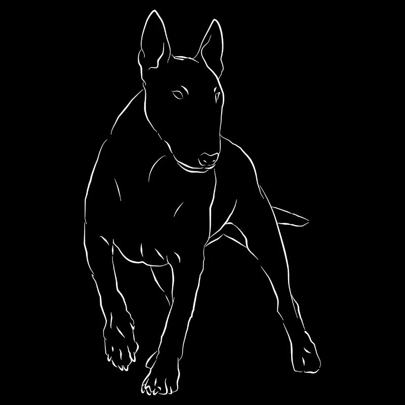 Bullterrier Hund