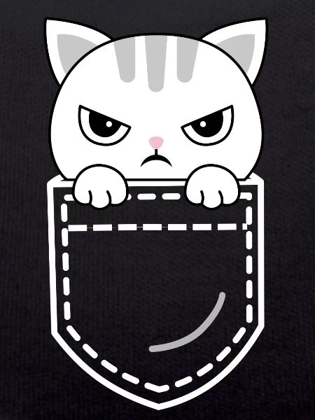 Katze Katzen
