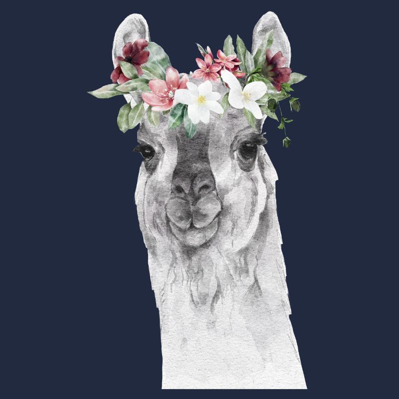 Llama