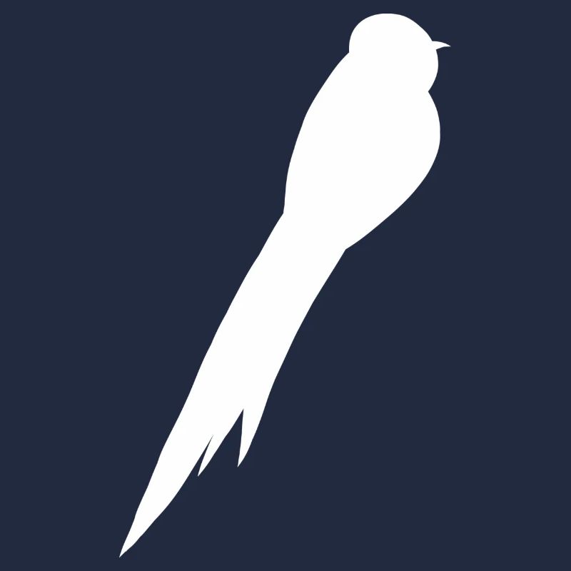 Bird Falcon Blackbird Thrush Sparrow Buzzard Raven