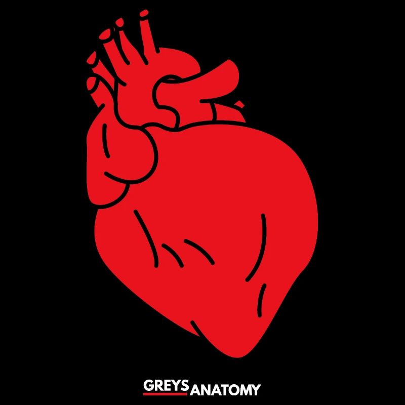 Anatomie greys