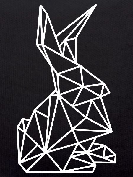 Rabbit Geometry Lines