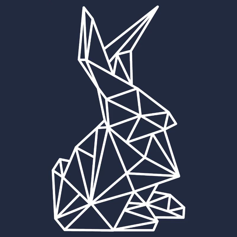 Lignes de géométrie rabbit
