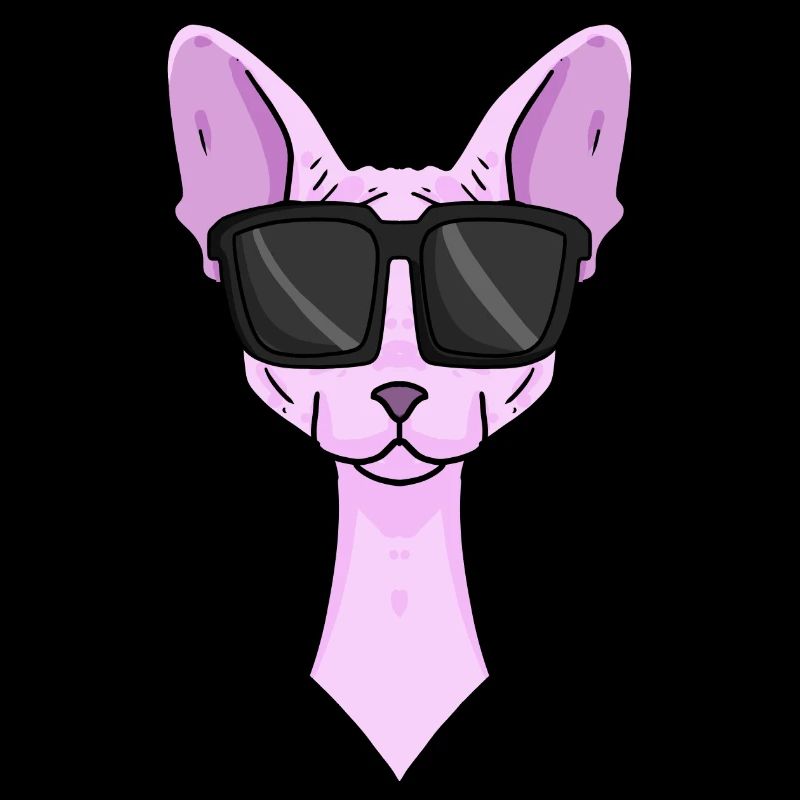 Chat Sphynx avec lunettes de soleil