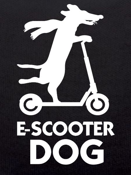 E-Scooter Roller Scooter