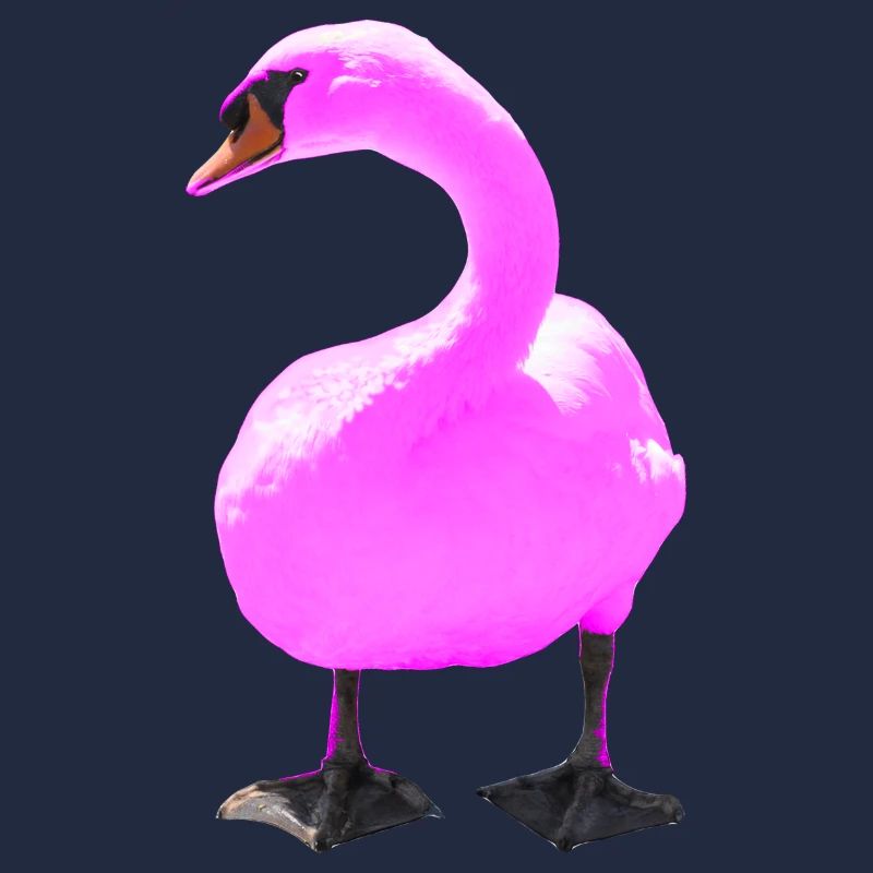 cygne