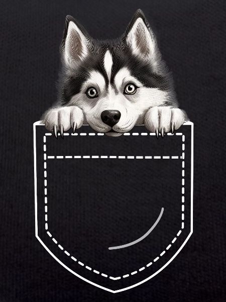 Chien Husky