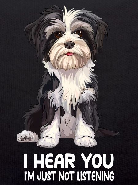Havanese