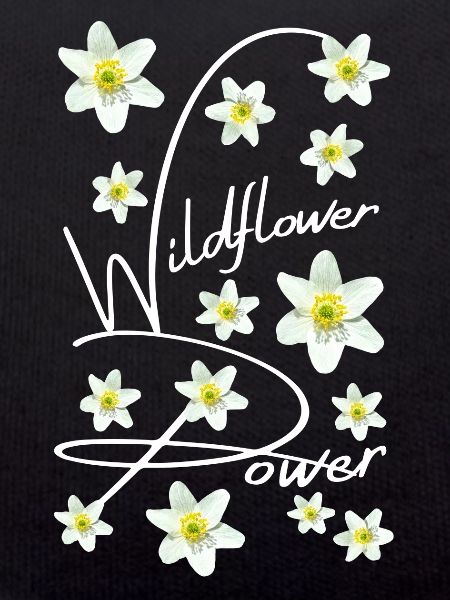 WOOD ANEMONE