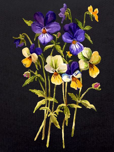 Fleur