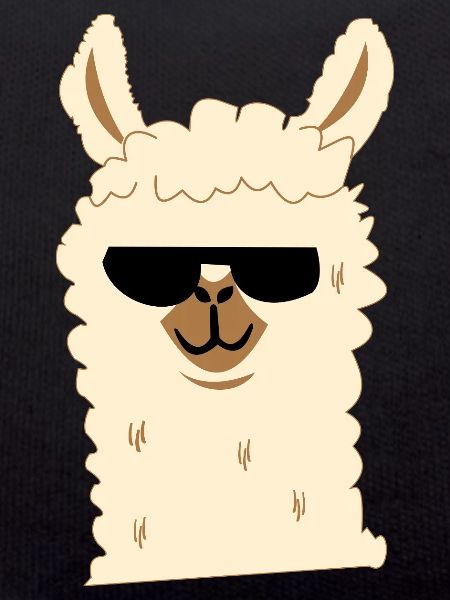 Llama with sunglasses