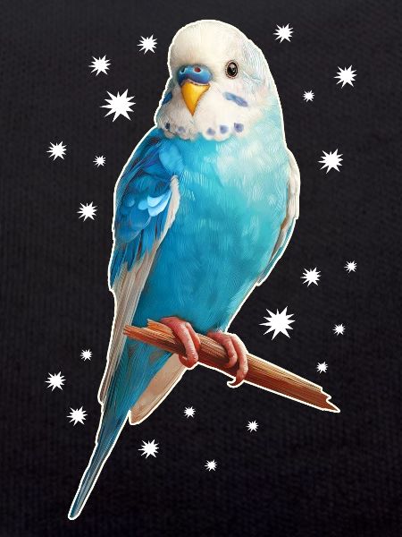 Budgie Stars