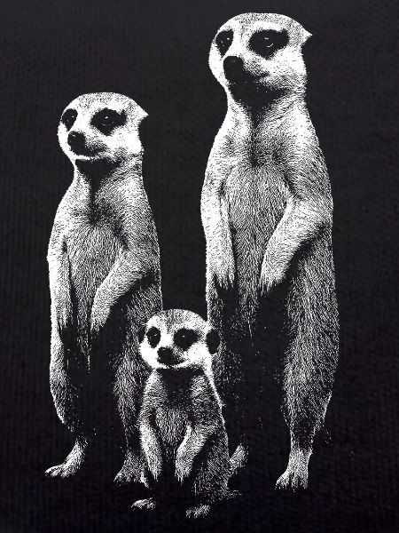 Lumière suricate