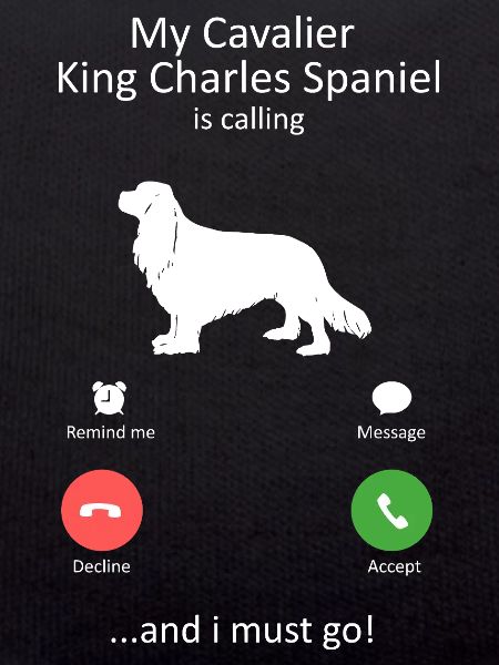 Cavalier King Charles Spaniel ruft Design