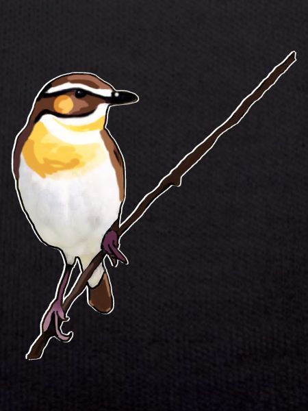Whinchat