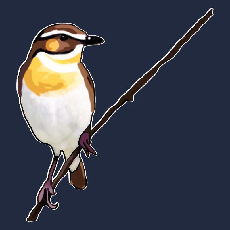 Braunkehlchen