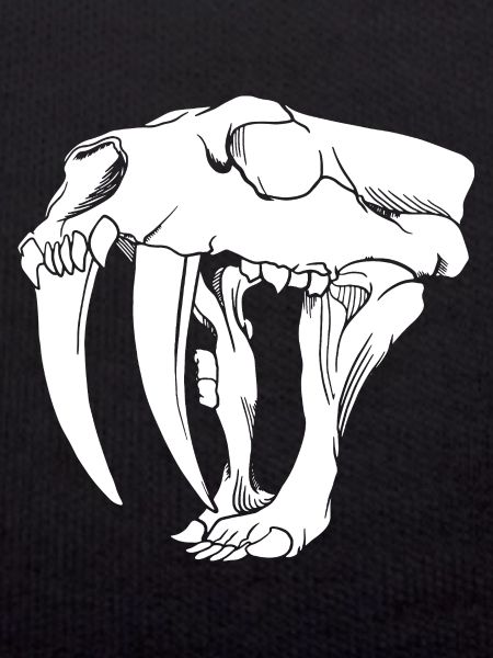 Sabre-toothed tiger